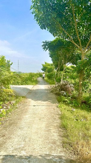 đất nền thổ cư công chứng trong ngày