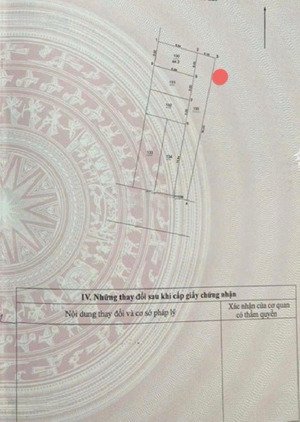 đất siêu đẹp giáp hải đa tốn gia lâm ô tô đỗ cửa