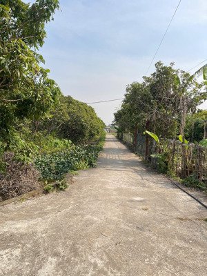 chính chủ bán đất nghỉ dưỡng, đầu tư, trang trại, miệt vườn