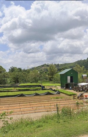 bán gấp 2ha đất mặt tiền trường sơn mđrắk | giá chỉ 8 tỷ