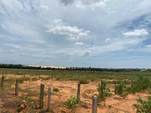 xả hàng cuối năm giá ngộp lô đất liền kề quy hoạch dự án sun group hoà thắng