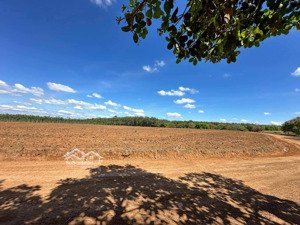 3000m2 ngay tuyến 2, 410tr shr, cụm kcn tân tiến 1 2, bình phước mặt tiền đường 30m