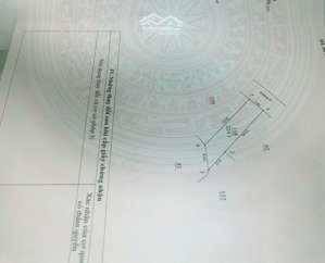 bán đất lục quân -cổ đông - sơn tây . diện tích 224m2 phù hợp xây nhà hàng, khách sạn kinh doanh.