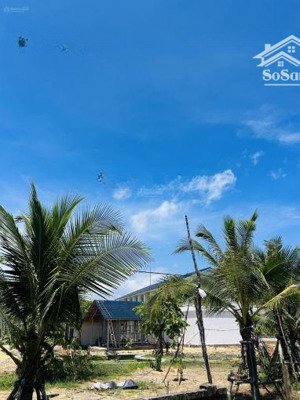 bán lô đất view biển bình châu bình sơn, quảng ngãi 345m² giá chỉ 5.8 tỷ