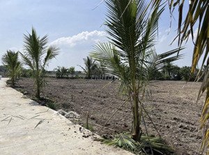 rời xa khói bụi thành phố để tìm về an tịnh, trảng bàng để sống chậm - sống xanh