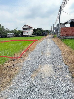bán đất lúa, xã hoà khánh đông, đức hòa, long an, 1,5 tỷ, 1500 m2