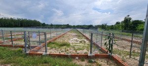 khi giấc mơ mua nhà trở thành nỗi lo: người trẻ, người trung niên và sự lựa chọn thực tế