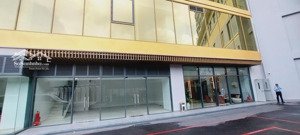 bán shophouse d-homme hồng bàng đa dạng diện tích, tt chỉ 10% nhận nhà trực tiếp cđt. ck đến 13%