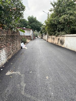 đón sóng siêu đô thị ven sông tại tráng việt - mê linh