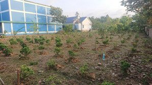 nhà và vườn (biệt thự) dt: 5,5 ha (700m2_ ont) haimặt tiền tỉnh lộ 721 madagui đạ huoai lâm đồng