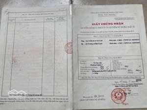 hot! nhà 2mt võ văn tần, quận 3, 10m x 15m, ctxd: hầm 6 lầu, phù hợp làm tòa chdv, biệt thự ở.