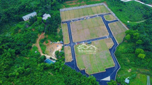 chỉ còn 2 lô cuối cùng - dt: 280m2 giá 4.2 tỷ - cơ hội hiếm không nên bỏ lỡ