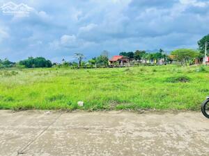  Bán đất Đông Phú – Đại Hiệp | Hàng hiếm trục chính