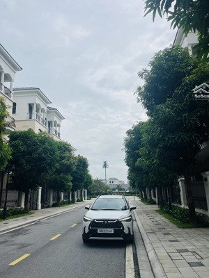 bán gấp song lập 127m chà là ngay sát công viên vinhomes ocean park 2 - 17,5tỷ