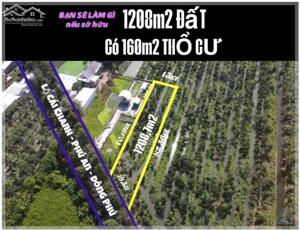 Bá.n 1.208,7m² đất lúa có 160m² thổ cư mặt tiền lộ Cái Chanh, Đông Phú, TP. Cần Thơ