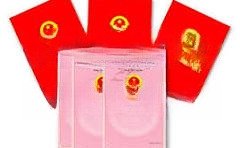 bán đất đẹp 50m2 ngay gần khu đấu giá bái trong, hoa động, thủy nguyên, hải phòng chỉ 2,846 tỷ