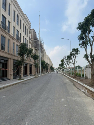 bán căn liền kề góc 3 mặt tiền diện tích 115m2 vin cổ loa