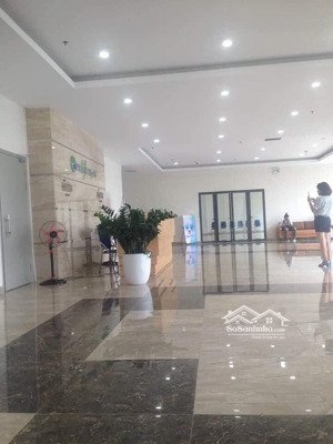 cho thuê căn hộ chung cư cao cấp ecolife tây hồ (sát đường hoàng quốc việt)