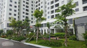 cho thuê căn hộ chung cư ecolife tây hồ, hà nội