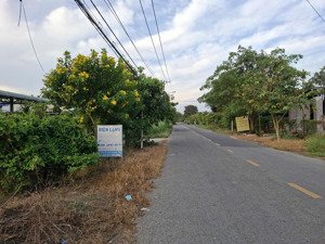 cần thanh lý gấp đất tại mặt tiền đường phú thuận - xã an nhơn tây mới - thành phố hồ chí minh