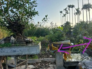 bán lô đất 77mv chính chủ tại câu trung quang hưng an lão ( an quang ) hp