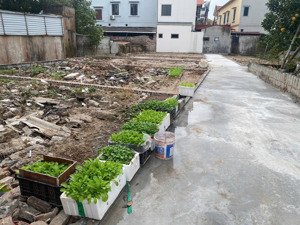 cần bán 50m2 đất tân tiến, văn giang, mặt tiền rộng vuông vắn, sát dự án vin ocp 2,3