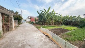 bán lô đất 80mv chính chủ tại đông nham quốc tuấn an lão ( an quang )