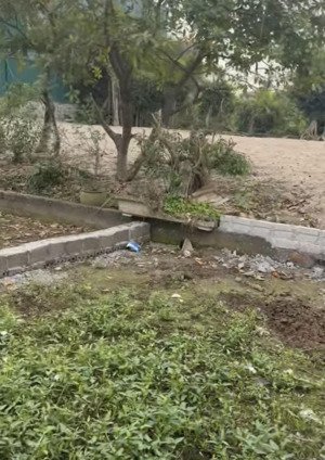 xâm thụy hồng vân thường tín lô góc dt41 mt5.05 giá 3.1tỷ. ô tô 7 chỗ vào đất ngõ thông sát cầu mễ