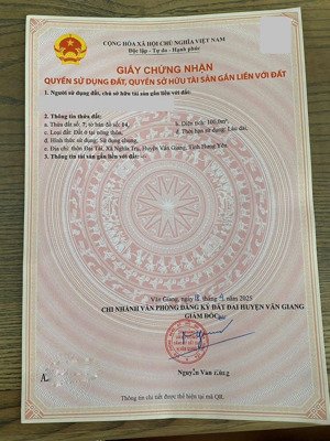 hàng hot đấu giá nghĩa trụ. trục chính đường tô hiệu