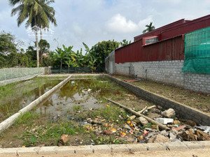 bán lô đất 90mv chính chủ tại câu trung quang hưng an lão ( an quang ) hp