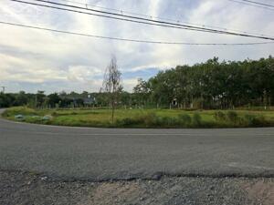 Cần sang gấp lô đất cực đẹp tại hẻm xe tải đường Phú Thuận, xã Phú Mỹ Hưng, huyện Củ Chi, TP.HCM