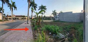 bán đất nền 2 mặt tiền ấp hựu thành, huyện đức hoà, tỉnh long an