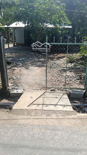 ms394. bán đất diên thọ diên khánh tặng nhà 480 triệu