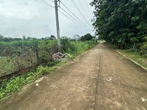 bán đất tại dh507, an linh, phú giáo, bình dương, 650 triệu, 240.5 m2