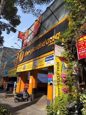 giảm sốc 20 tỷ - mt trần quang khải 13x33m tổng 480m2 - 4 lầu - hđt 261,38 triệu - bán 380 tỷ