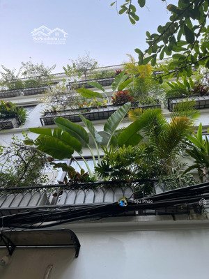 chủ nợ ngân hàng bán gấp nhà cầu giấy - 5 tầng - 47m² - mặt ngõ thẳng, rộng 3m - gần phố, giá 13 tỷ