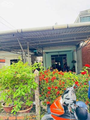 Nhà cấp 4 SHR 2/Hiệp Thành 13-Q12.Dt 7x38m nở hậu~287m2~9ty