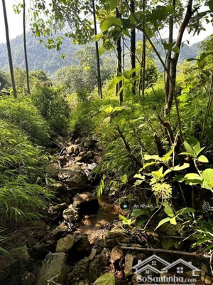 chính chủ bán mảnh vườn đẹp view hồ trị an, đảo ó gần đức mẹ núi cúi