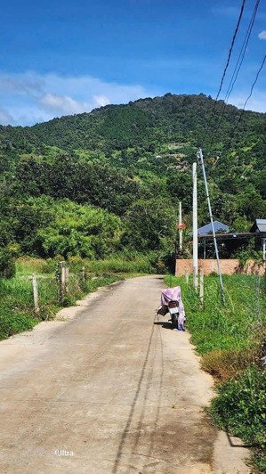 bán đất thổ cư giá rẻ hiệp thạnh, lâm đồng chỉ 739 triệu, gần mọi tiện ích, cách sân bay 6 km