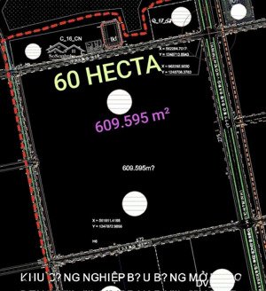 cần bán đất trong kcn bàu bàng từ 6ha trở lên hạn skc 2066 (giá 3,26 triệu/m²)