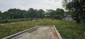 bán đất tại xã nam phương tiến, 1,299 tỷ, 90 m2, giá ưu đãi