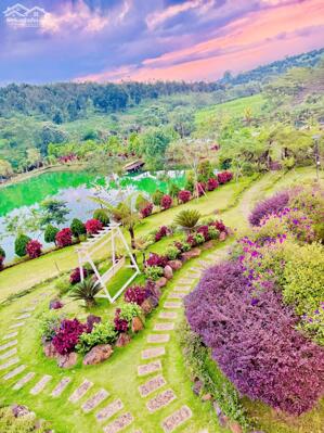 ĐẤT BẢO LỘC – PHÙ HỢP ĐẦU TƯ DÀI HẠN GIÁ TỪ 1 TỶ 2