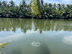 bán đất khủng mt cửa đại hội an-qh 7tầng-tặng bản vẽ thiết kế 5*-mt sông tt phố cổ giá 6x tr/m2