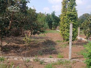 cần bán đất nền bình ba giá đầu tư