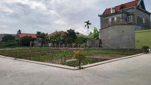 bán đất đẹp tại bát trang, an lão, hải phòng, 550 triệu, 65m2