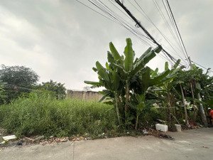 cần tiền bán gấp nền đất hiệp phước nhà bè, nguyễn văn tạo, ngang 7m sổ hồng new, giá 3ty vay 2ty5