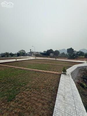 ️ FLASH SALE CUỐI NĂM - 365TR LÔ GÓC LẠC THỦY - QUA NĂM MỚI CẮT KHUYẾN MÃI ️