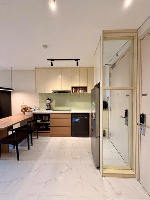 cho thuê ch an gia skyline 2pn full nội thất như hình,giá: 11.5tr, tầng cao view q1. lh: 