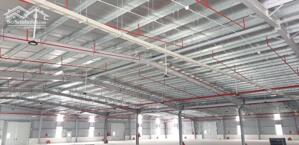 Xưởng mới tinh DT 10.000m2 có thể chia nhỏ các DT 1000m2, 2000m2, 5000m2, có PCCC, trạm điện 630kva