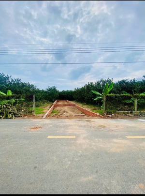 bán đất 250m2 tại xã trừ văn thố, bàu bàng, bình dương, giá siêu hời 950 triệu thương lượng.